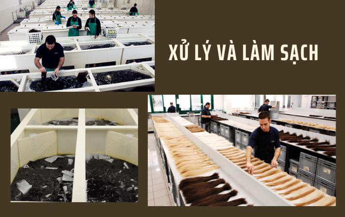 Xử lý và làm sạch tóc